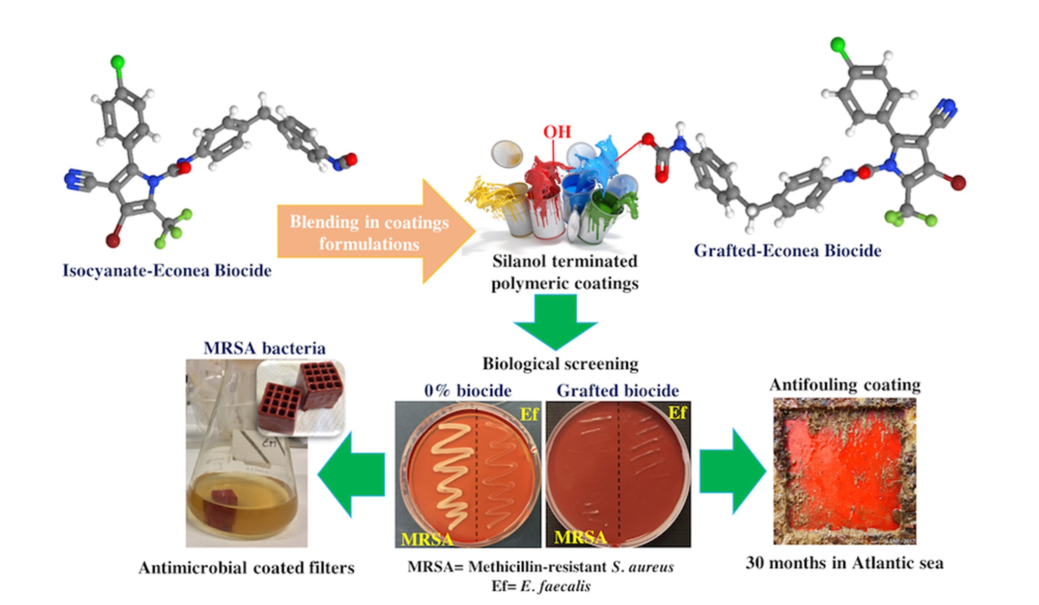 Bioactive and Multifunctional Materials Lab